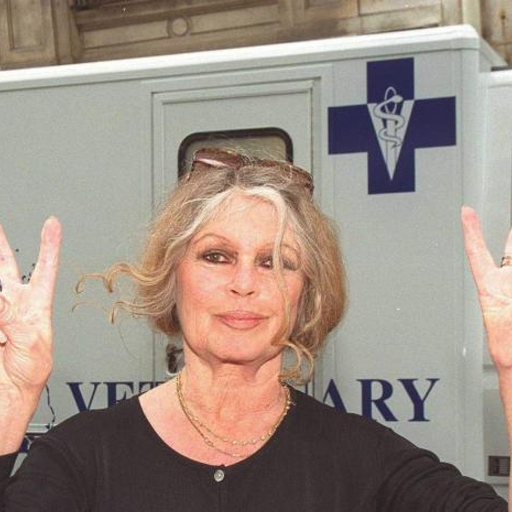 Brigitte Bardot regresa a casa tras su hospitalización en Saint-Tropez