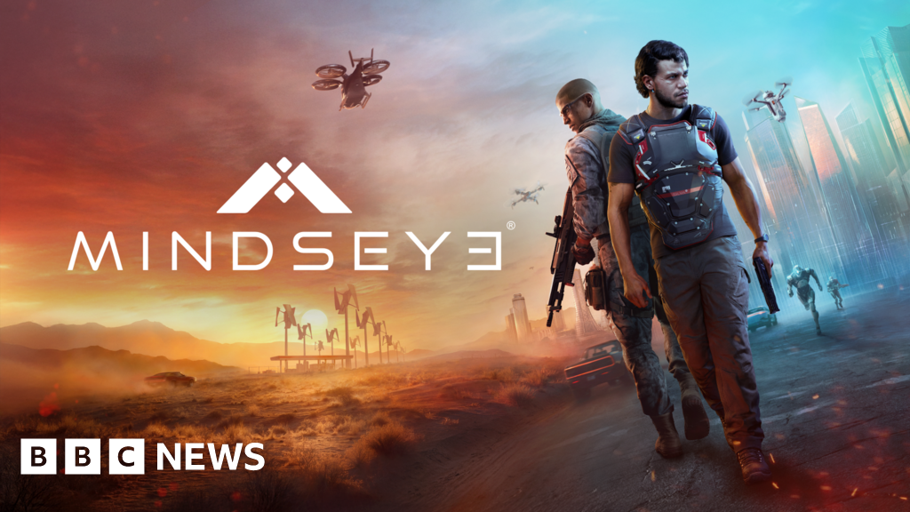 EL FRACASO DE UNA VISIÓN EN VIDEOJUEGOS