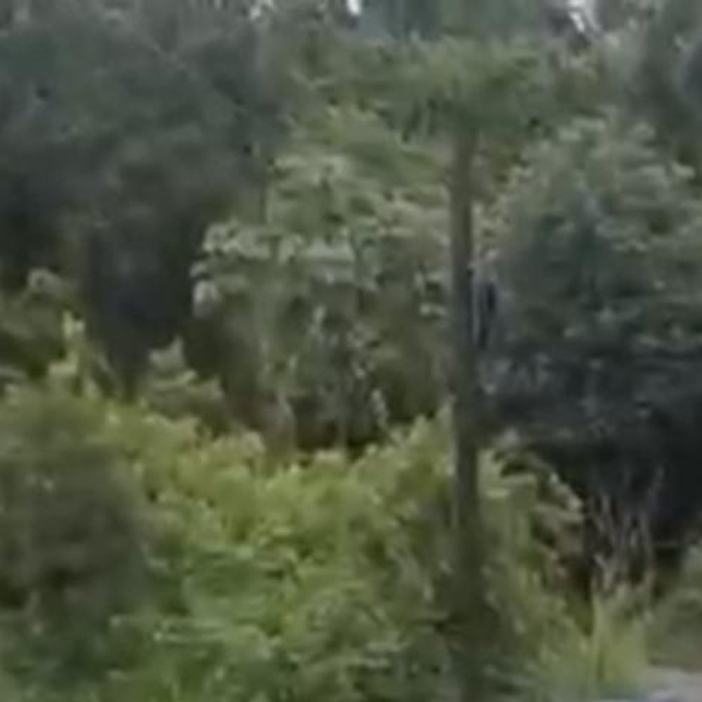 LEGISLADORES SOLICITAN EMERGENCIA EN OCOA