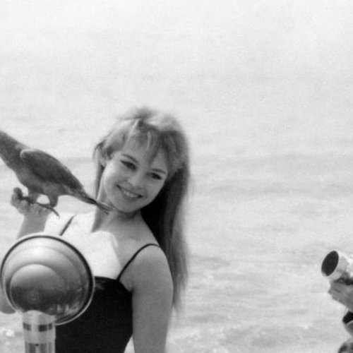 Brigitte Bardot, el ocaso de un ícono de belleza