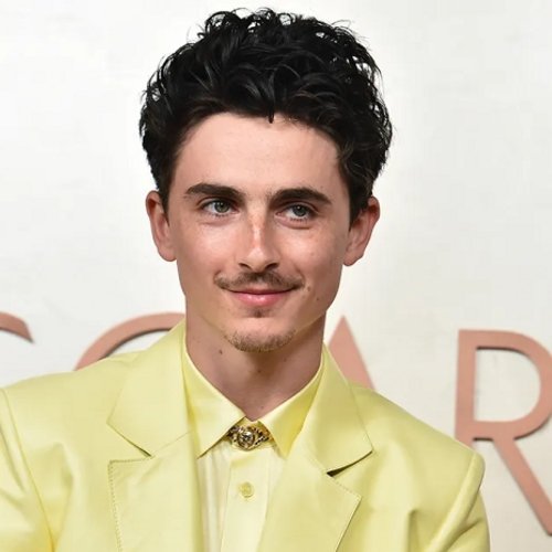 Timothée Chalamet y su búsqueda incansable por la excelencia en la actuación