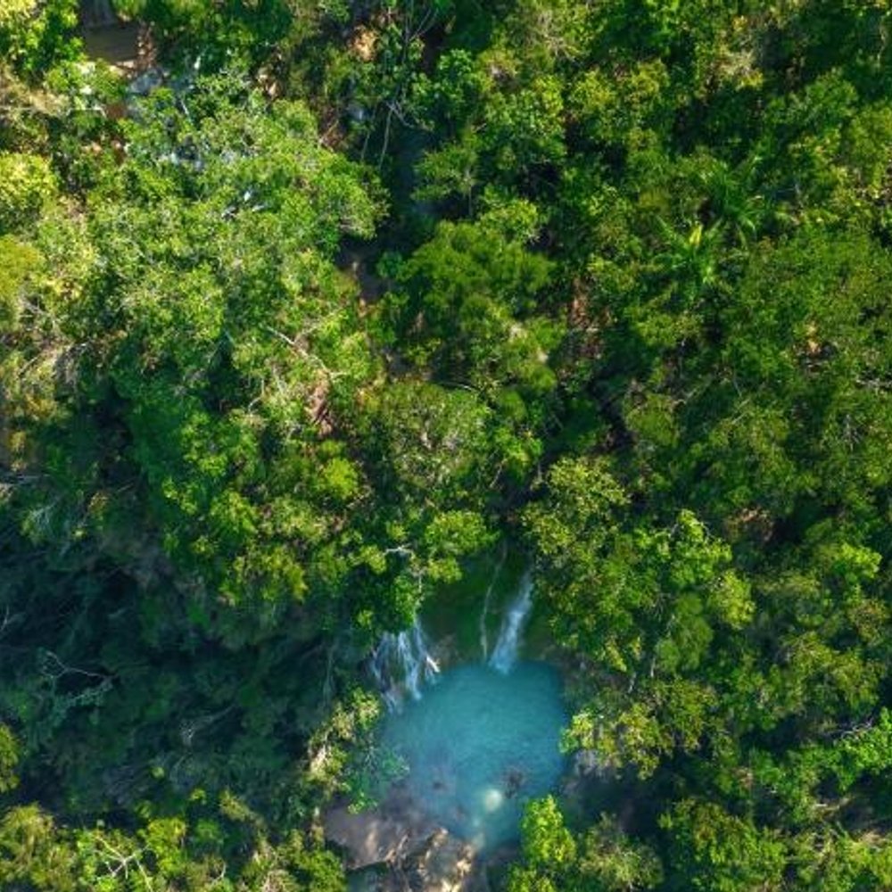 ZONAS DE AMORTIGUAMIENTO EN ÁREAS PROTEGIDAS