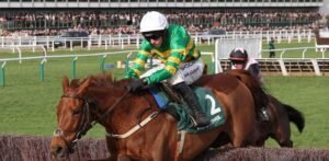 Carne de caballo de carreras servida en plato de comedor social es revelada por un microchip