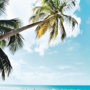 DESTINOS-TENDENCIA-EN-REPUBLICA-DOMINICANA_.jpg